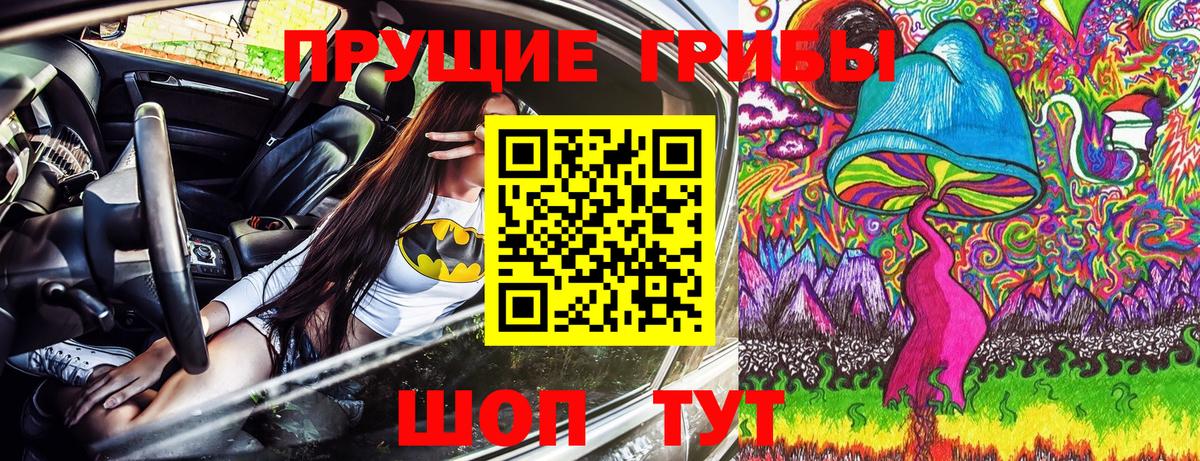 Галлюциногенные грибы мицелий  Вход с VPN  сколько стоит  Заволжье 